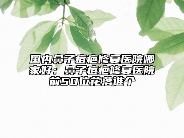 国内鼻子痘疤修复医院哪家好：鼻子痘疤修复医院前50位花落谁个