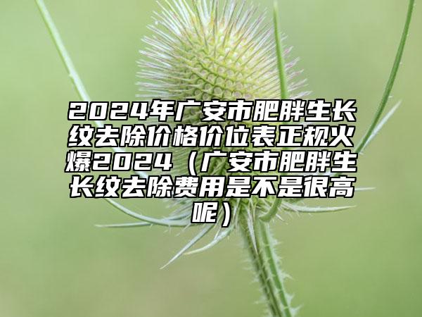 2024年广安市肥胖生长纹去除价格价位表正规火爆2024（广安市肥胖生长纹去除费用是不是很高呢）