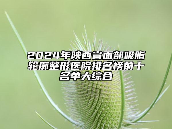 2024年陕西省面部吸脂轮廓整形医院排名榜前十名单大综合