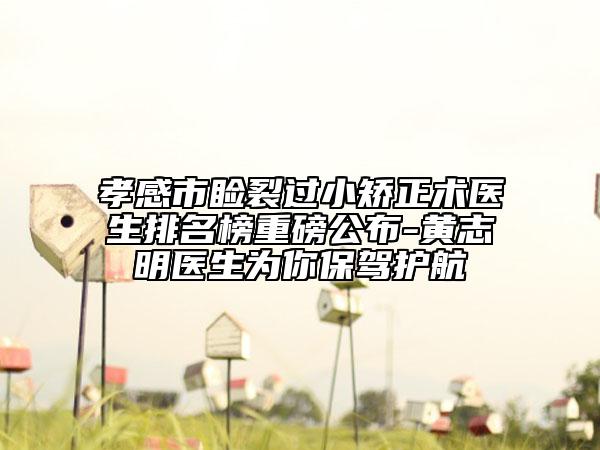 孝感市睑裂过小矫正术医生排名榜重磅公布-黄志明医生为你保驾护航