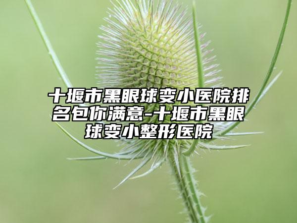 十堰市黑眼球变小医院排名包你满意-十堰市黑眼球变小整形医院