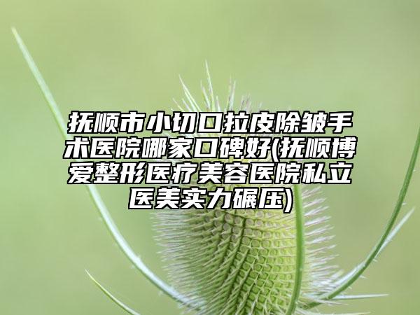 抚顺市小切口拉皮除皱手术医院哪家口碑好(抚顺博爱整形医疗美容医院私立医美实力碾压)