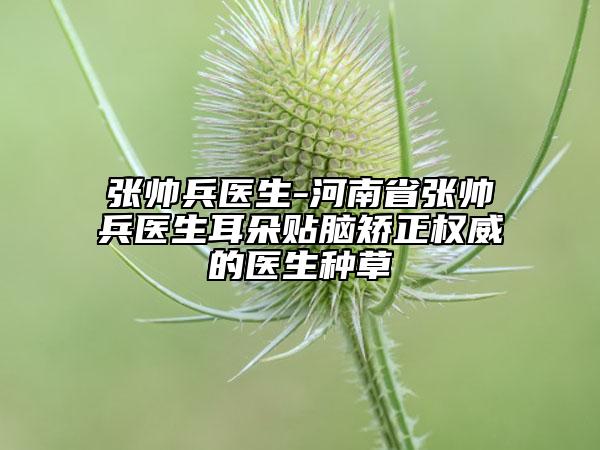 张帅兵医生-河南省张帅兵医生耳朵贴脑矫正权威的医生种草