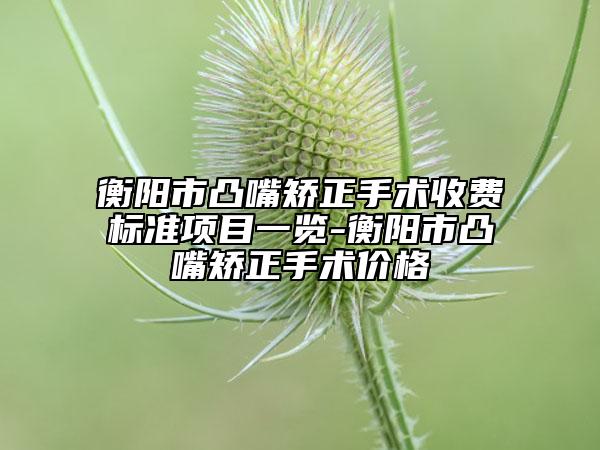 衡阳市凸嘴矫正手术收费标准项目一览-衡阳市凸嘴矫正手术价格