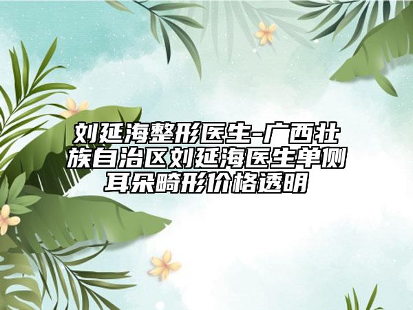 刘延海整形医生-广西壮族自治区刘延海医生单侧耳朵畸形价格透明